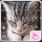 TouchPal Cats Keyboard Theme apk icon