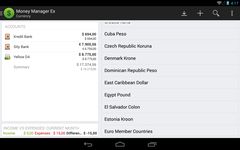 Imagem 3 do Money Manager Ex for Android