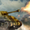 imagen tank battle 3d world war hero 0mini comments