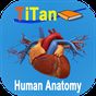 Ícone do apk Guia de Anatomia Humana