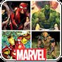 Marvel Heroes Live Wallpaper apk icon