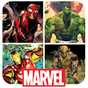 Marvel Heroes Live Wallpaper apk icon