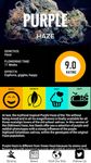 Gambar Strain Grade - Top Strains 4