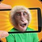 APK-иконка Сканер лица: Какая обезьянка