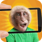 Сканер лица: Какая обезьянка APK