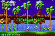 Tips Sonic Mania の画像