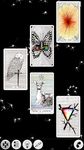 The Wild Unknown Tarot screenshot apk 12