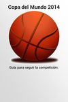 Mundial Baloncesto España 2014 captura de pantalla apk 10