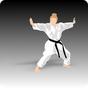 Ícone do apk Aprender Kung Fu