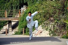 Imagem 14 do Aprender Kung Fu