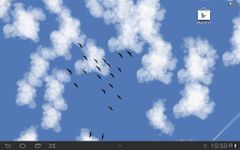 Imagem 4 do Flock of Birds Live Wallpaper
