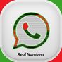 Real WhatsApp Numbers! apk icon