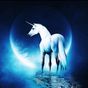 Ícone do Horse at Night Live Wallpaper