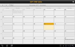 Imagem 3 do SAP CRM Sales
