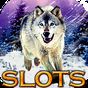 Slots Wolf Run - Slot Machines APK Simgesi