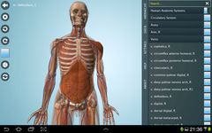 Anatomy 3D - Anatronica afbeelding 