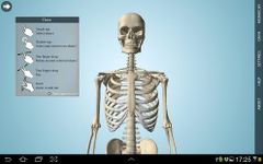 Anatomy 3D - Anatronica afbeelding 2