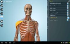 Anatomy 3D - Anatronica afbeelding 3