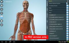 Anatomy 3D - Anatronica afbeelding 7