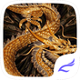 APK-иконка Golden Dragon Theme