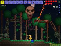 Terraria 이미지 2