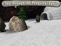 Gambar Penguin Village 12