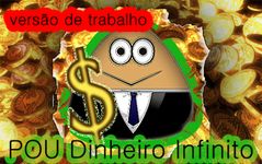 Pou com dinheiro infinito 