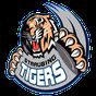 Straubing Tigers APK Icon