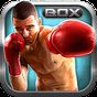 Boxing Champions 2015 apk icono