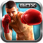 Real Boxing Champions 2015 APK