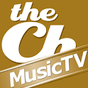 theChanner Music TV APK