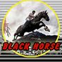 Ícone do apk Black Horse Casino Slot GRÁTIS