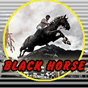 Black Horse Casino Slot GRÁTIS APK