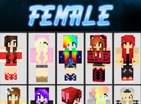 Imagem  do Skins for Minecraft