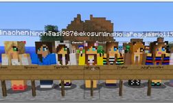 Imagem 8 do Skins for Minecraft