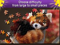 Jigsaw Puzzles World afbeelding 9