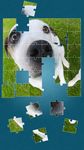 Картинка 3 Собака Игра Пазлы