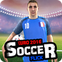 Euro 2016 Soccer Flick APK