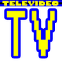 Televideo Rai APK