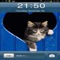 Ícone do Cat In Heart GO Locker Theme