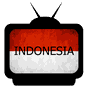 Ikon apk TV Indonesia Online