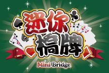 Mini Bridge image 