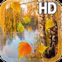 APK-иконка Осень Живые Обои HD