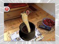 Imagem  do GWR2014 - Augmented Reality