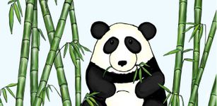 Gambar Bamboo Panda Theme GO Launcher 