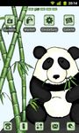 Gambar Bamboo Panda Theme GO Launcher 1