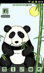 Gambar Bamboo Panda Theme GO Launcher 2