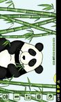 Gambar Bamboo Panda Theme GO Launcher 6
