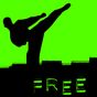 Kung Fu - Martial Arts apk icon