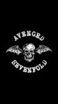 Imagem 10 do A7X Flap